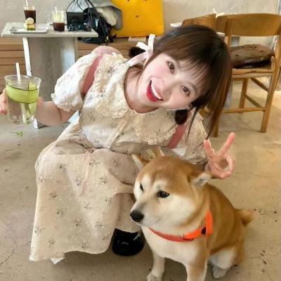 沸腾的群山2024
